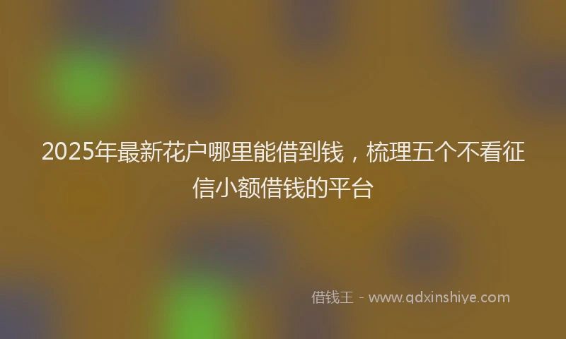 2025年最新花户哪里能借到钱，梳理五个不看征信小额借钱的平台
