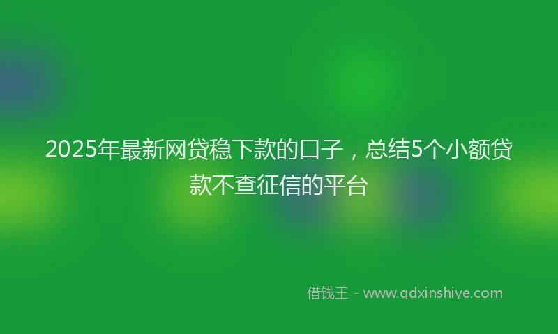 2025年最新网贷稳下款的口子，总结5个小额贷款不查征信的平台
