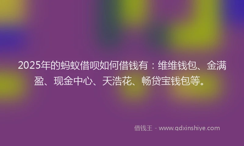 2025年的蚂蚁借呗如何借钱有：维维钱包、金满盈、现金中心、天浩花、畅贷宝钱包等。