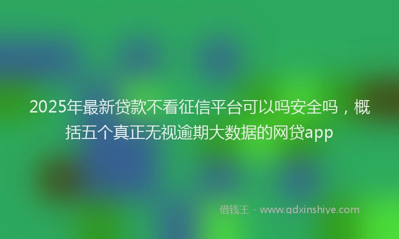 2025年最新贷款不看征信平台可以吗安全吗，概括五个真正无视逾期大数据的网贷app