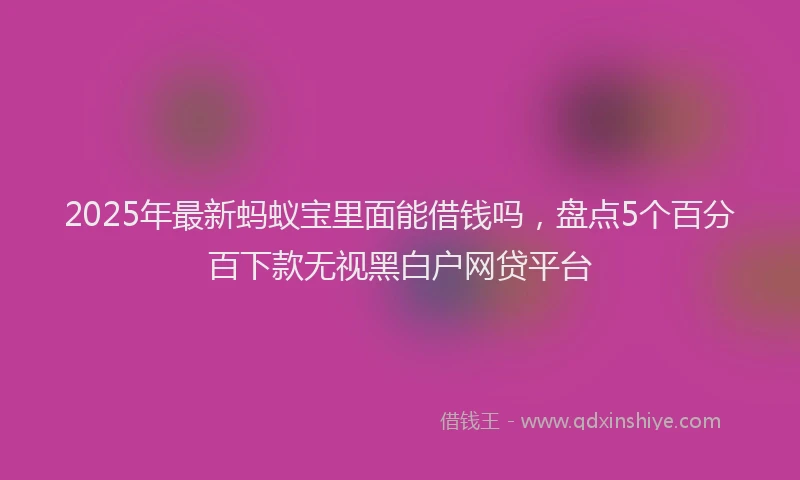 2025年最新蚂蚁宝里面能借钱吗，盘点5个百分百下款无视黑白户网贷平台