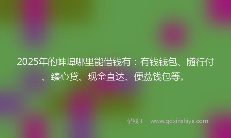 2025年的蚌埠哪里能借钱有：有钱钱包、随行付、臻心贷、现金直达、便荔钱包等。