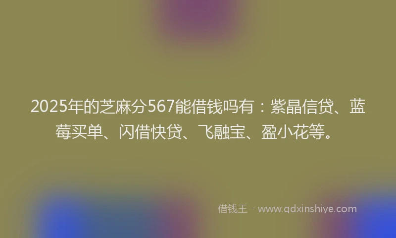 2025年的芝麻分567能借钱吗有：紫晶信贷、蓝莓买单、闪借快贷、飞融宝、盈小花等。