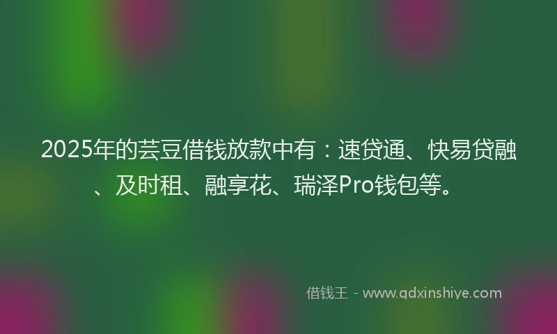 2025年的芸豆借钱放款中有：速贷通、快易贷融、及时租、融享花、瑞泽Pro钱包等。