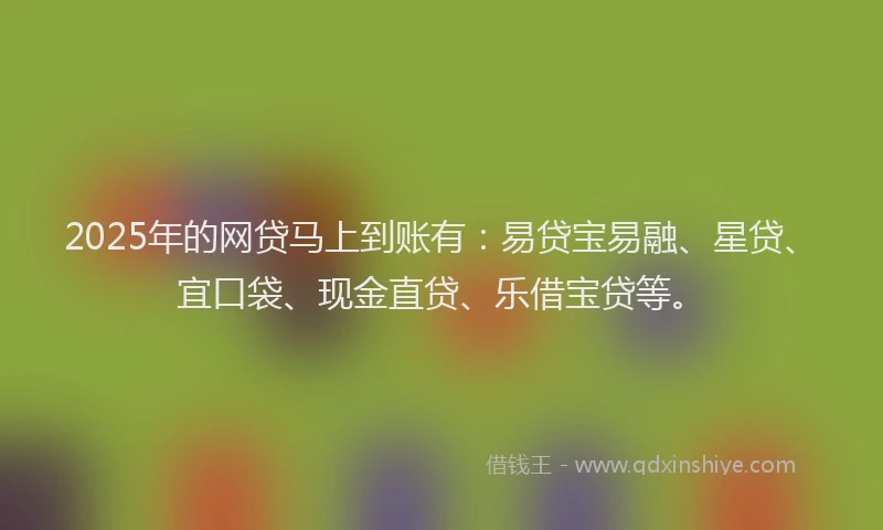 2025年的网贷马上到账有：易贷宝易融、星贷、宜口袋、现金直贷、乐借宝贷等。