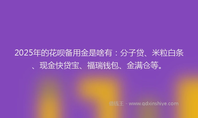 2025年的花呗备用金是啥有:分子贷、米粒白条、现金快贷宝、福瑞钱包、金满仓等。