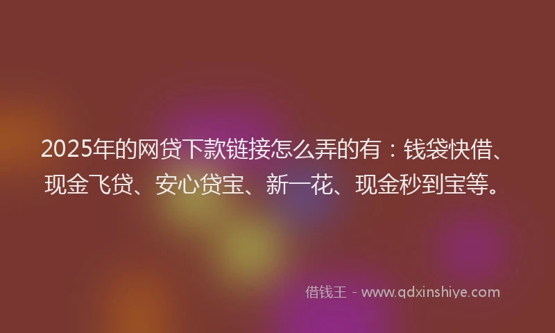 2025年的网贷下款链接怎么弄的有：钱袋快借、现金飞贷、安心贷宝、新一花、现金秒到宝等。
