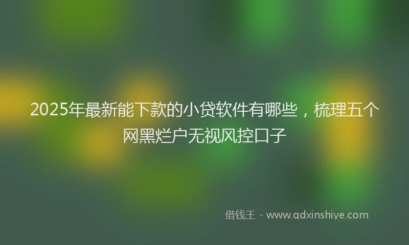 2025年最新能下款的小贷软件有哪些，梳理五个网黑烂户无视风控口子