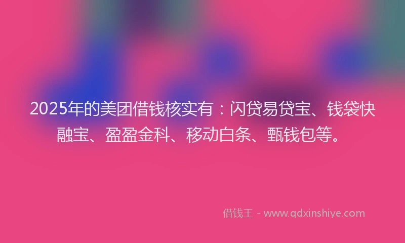 2025年的美团借钱核实有：闪贷易贷宝、钱袋快融宝、盈盈金科、移动白条、甄钱包等。
