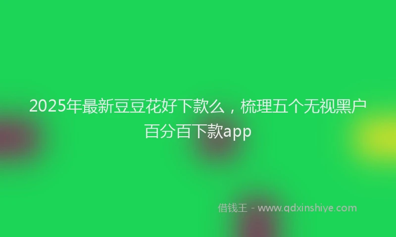 2025年最新豆豆花好下款么，梳理五个无视黑户百分百下款app