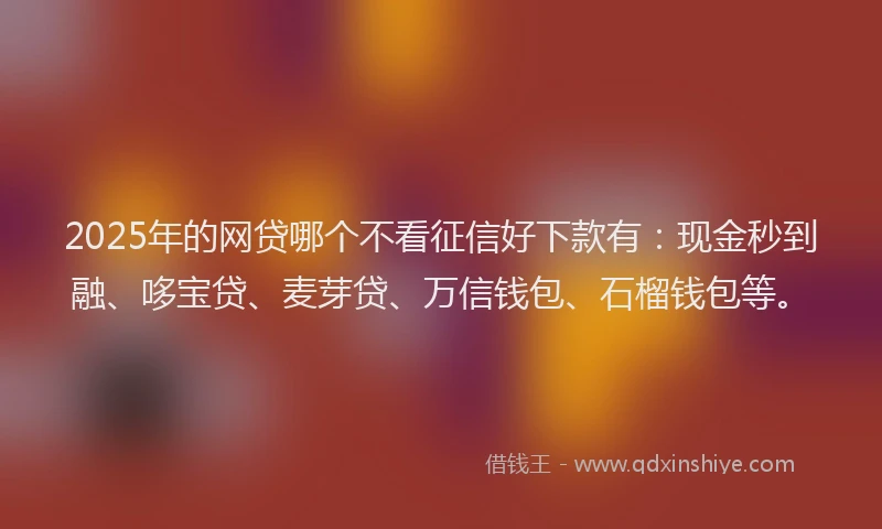 2025年的网贷哪个不看征信好下款有：现金秒到融、哆宝贷、麦芽贷、万信钱包、石榴钱包等。