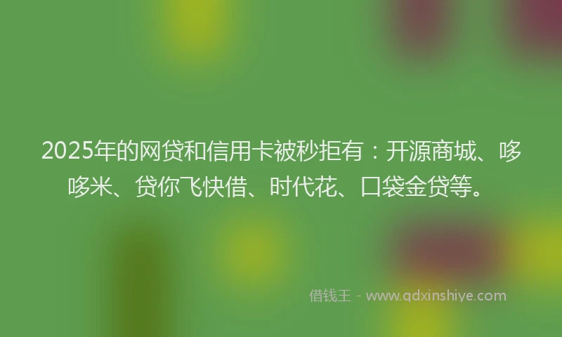 2025年的网贷和信用卡被秒拒有：开源商城、哆哆米、贷你飞快借、时代花、口袋金贷等。
