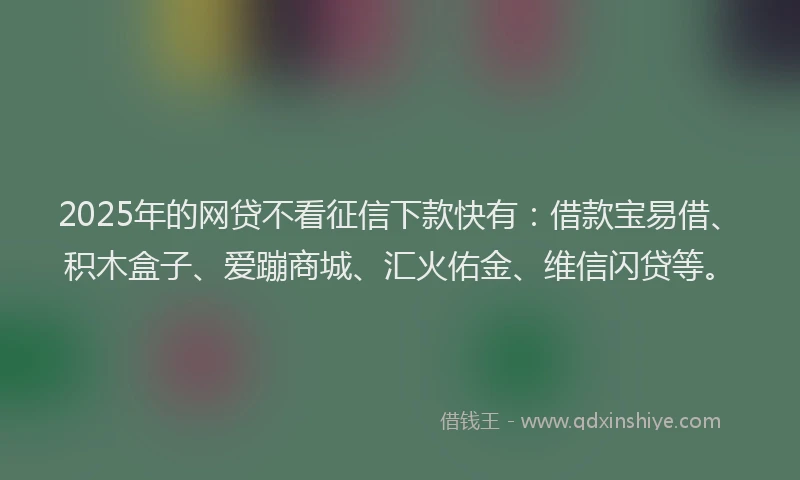 2025年的网贷不看征信下款快有：借款宝易借、积木盒子、爱蹦商城、汇火佑金、维信闪贷等。