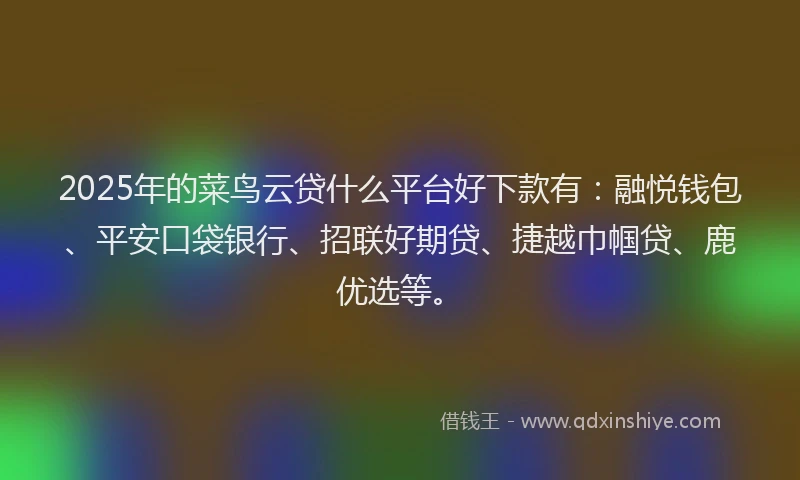 2025年的菜鸟云贷什么平台好下款有：融悦钱包、平安口袋银行、招联好期贷、捷越巾帼贷、鹿优选等。