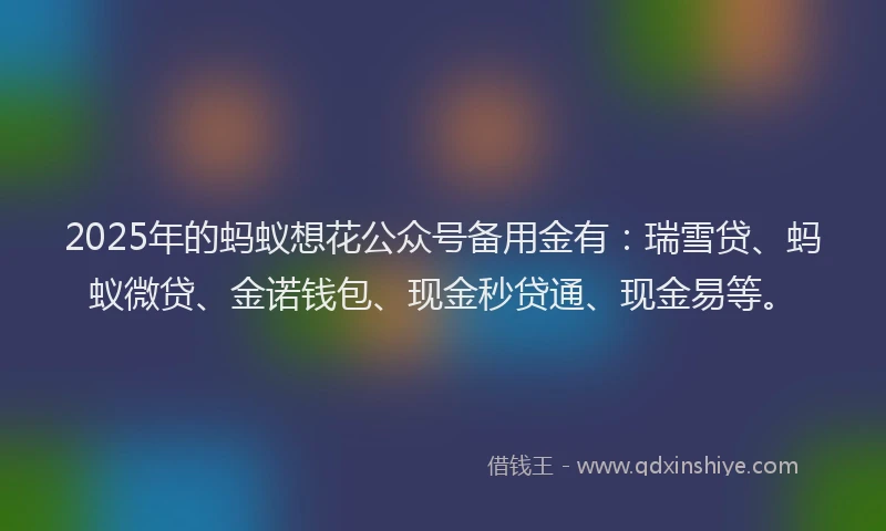 2025年的蚂蚁想花公众号备用金有：瑞雪贷、蚂蚁微贷、金诺钱包、现金秒贷通、现金易等。