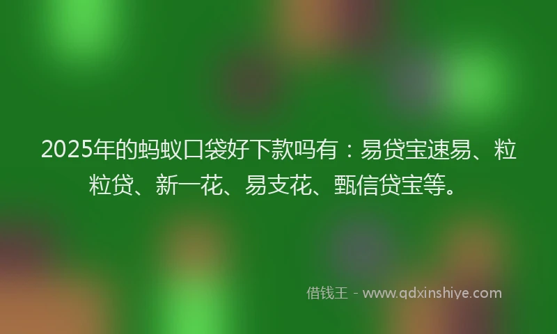 2025年的蚂蚁口袋好下款吗有：易贷宝速易、粒粒贷、新一花、易支花、甄信贷宝等。