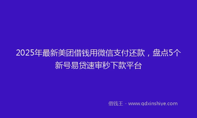 2025年最新美团借钱用微信支付还款，盘点5个新号易贷速审秒下款平台
