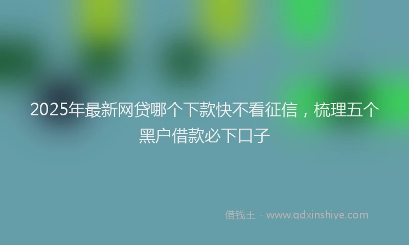 2025年最新网贷哪个下款快不看征信，梳理五个黑户借款必下口子