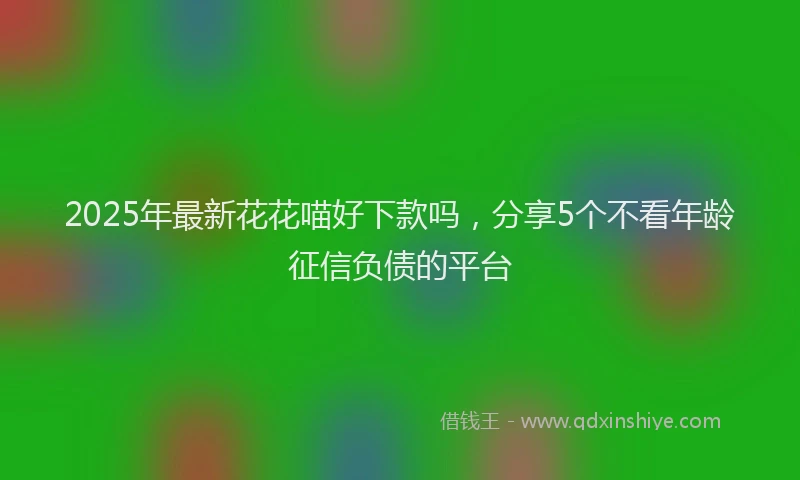 2025年最新花花喵好下款吗，分享5个不看年龄征信负债的平台
