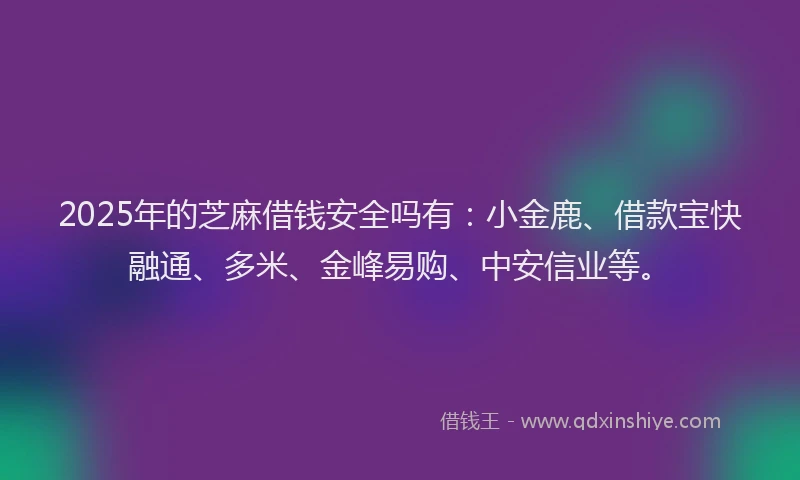 2025年的芝麻借钱安全吗有：小金鹿、借款宝快融通、多米、金峰易购、中安信业等。