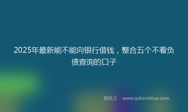 2025年最新能不能向银行借钱，整合五个不看负债查询的口子