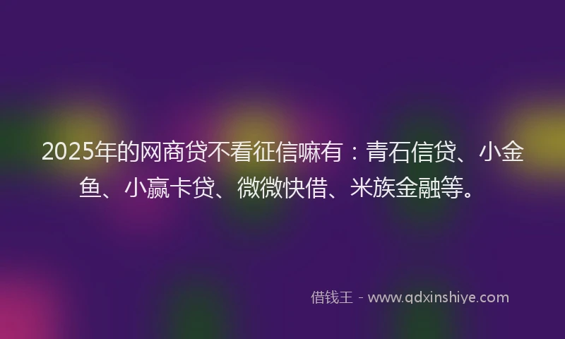 2025年的网商贷不看征信嘛有：青石信贷、小金鱼、小赢卡贷、微微快借、米族金融等。