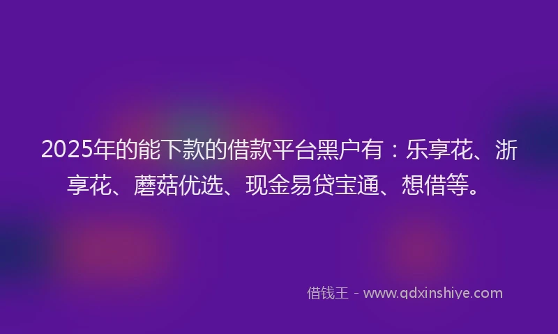 2025年的能下款的借款平台黑户有：乐享花、浙享花、蘑菇优选、现金易贷宝通、想借等。