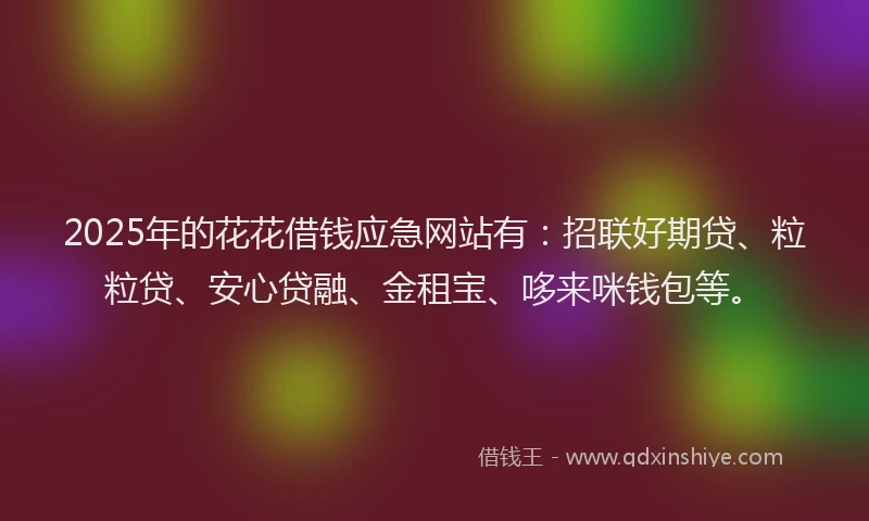 2025年的花花借钱应急网站有：招联好期贷、粒粒贷、安心贷融、金租宝、哆来咪钱包等。