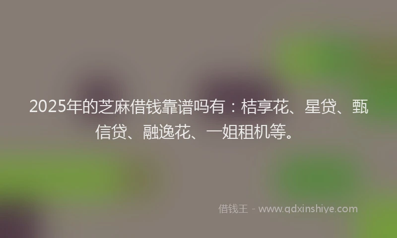 2025年的芝麻借钱靠谱吗有：桔享花、星贷、甄信贷、融逸花、一姐租机等。