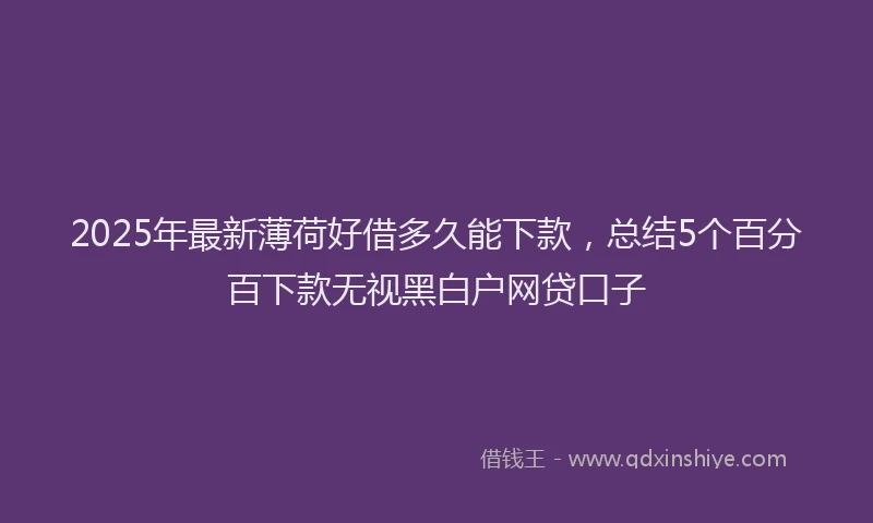 2025年最新薄荷好借多久能下款，总结5个百分百下款无视黑白户网贷口子