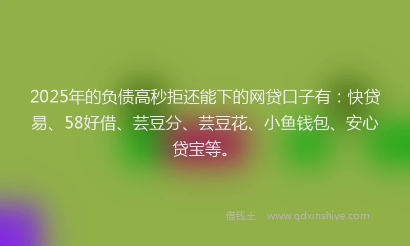 2025年的负债高秒拒还能下的网贷口子有：快贷易、58好借、芸豆分、芸豆花、小鱼钱包、安心贷宝等。