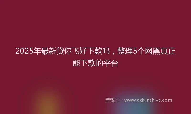 2025年最新贷你飞好下款吗，整理5个网黑真正能下款的平台
