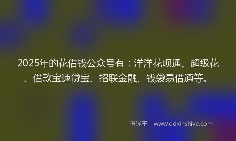 2025年的花借钱公众号有：洋洋花呗通、超级花、借款宝速贷宝、招联金融、钱袋易借通等。
