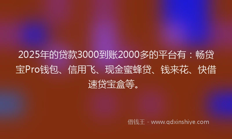 2025年的贷款3000到账2000多的平台有：畅贷宝Pro钱包、信用飞、现金蜜蜂贷、钱来花、快借速贷宝盒等。