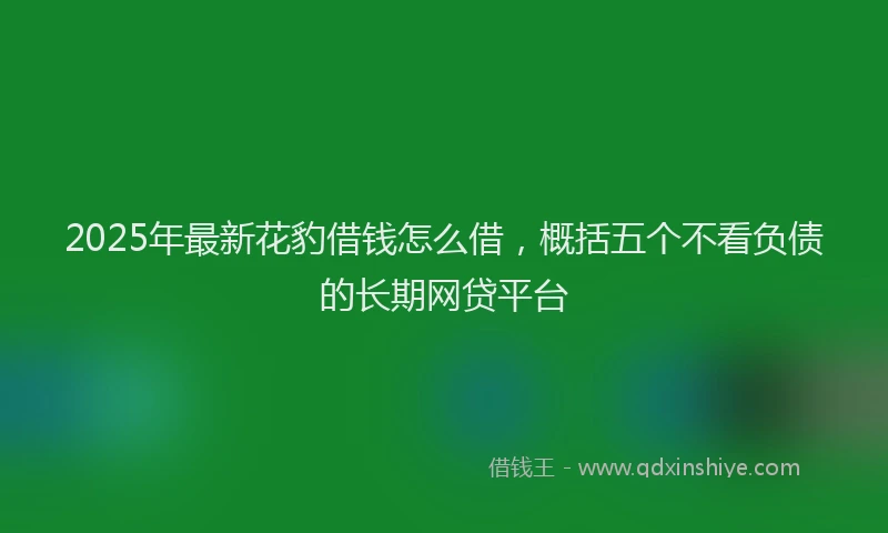 2025年最新花豹借钱怎么借，概括五个不看负债的长期网贷平台