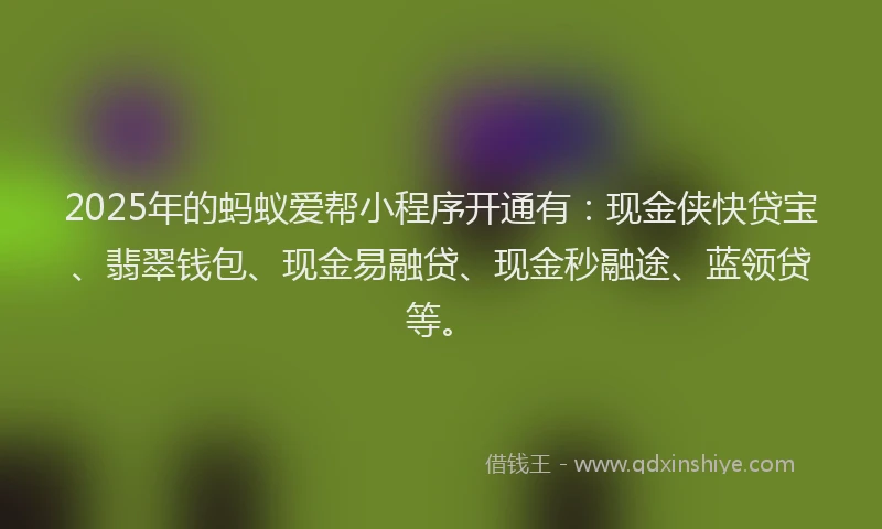 2025年的蚂蚁爱帮小程序开通有：现金侠快贷宝、翡翠钱包、现金易融贷、现金秒融途、蓝领贷等。