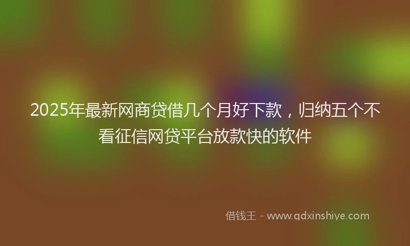 2025年最新网商贷借几个月好下款，归纳五个不看征信网贷平台放款快的软件