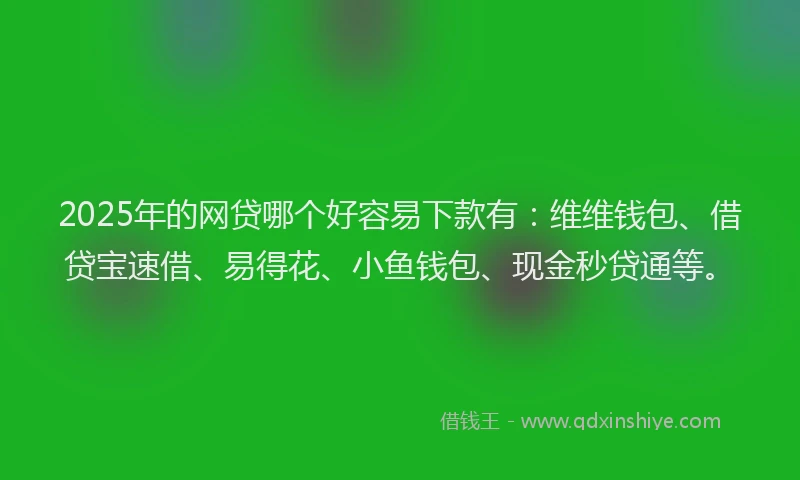 2025年的网贷哪个好容易下款有：维维钱包、借贷宝速借、易得花、小鱼钱包、现金秒贷通等。