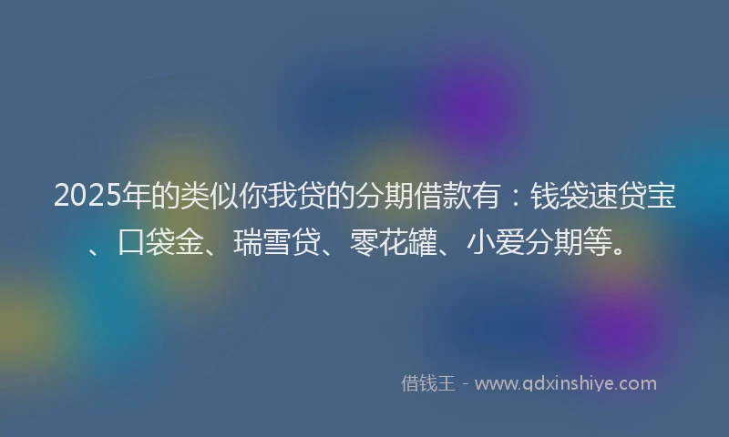 2025年的类似你我贷的分期借款有：钱袋速贷宝、口袋金、瑞雪贷、零花罐、小爱分期等。