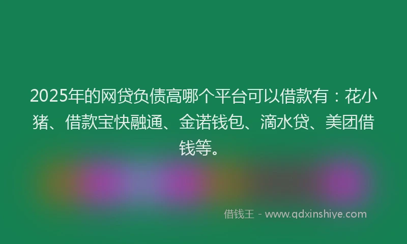 2025年的网贷负债高哪个平台可以借款有：花小猪、借款宝快融通、金诺钱包、滴水贷、美团借钱等。