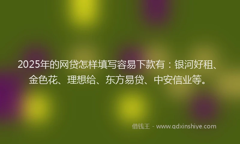 2025年的网贷怎样填写容易下款有：银河好租、金色花、理想给、东方易贷、中安信业等。