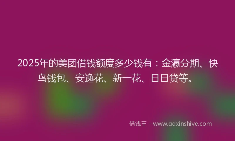 2025年的美团借钱额度多少钱有：金瀛分期、快鸟钱包、安逸花、新一花、日日贷等。