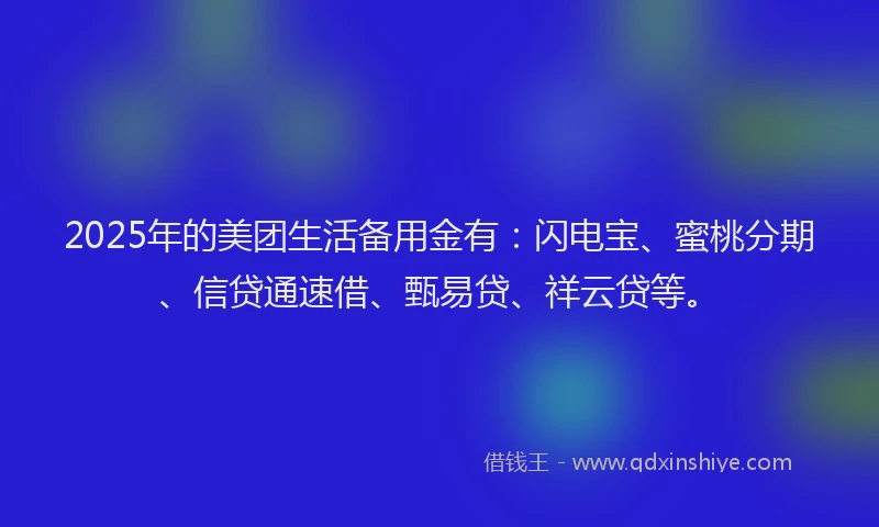 2025年的美团生活备用金有：闪电宝、蜜桃分期、信贷通速借、甄易贷、祥云贷等。