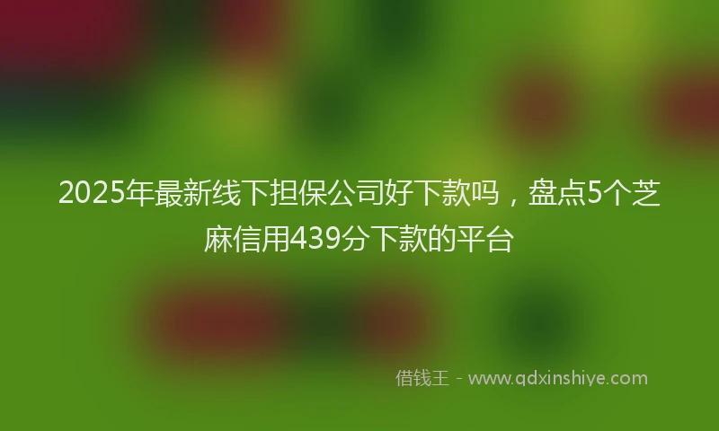 2025年最新线下担保公司好下款吗，盘点5个芝麻信用439分下款的平台