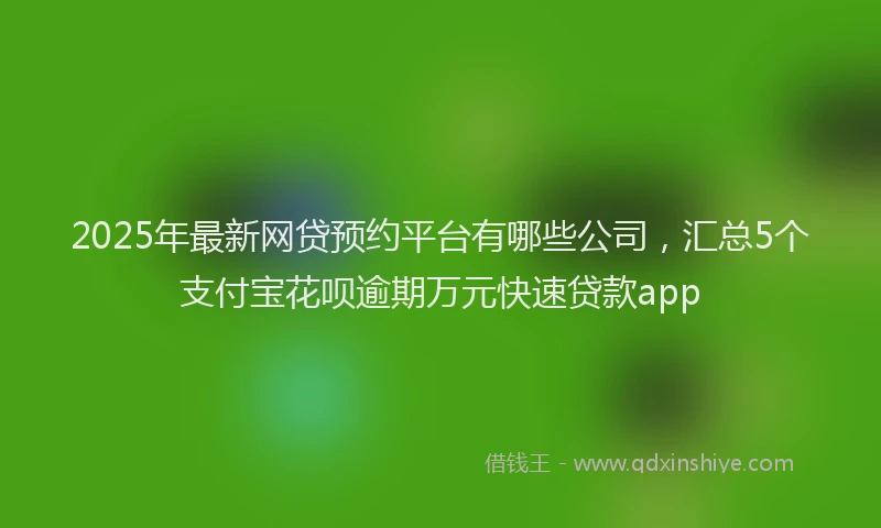 2025年最新网贷预约平台有哪些公司，汇总5个支付宝花呗逾期万元快速贷款app