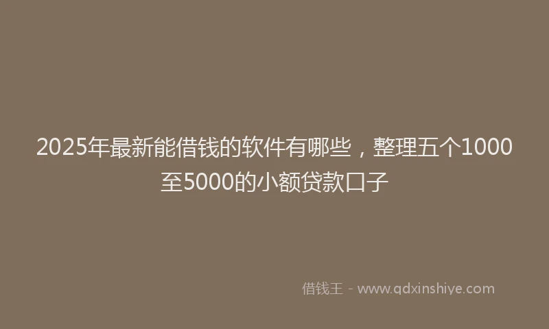2025年最新能借钱的软件有哪些，整理五个1000至5000的小额贷款口子