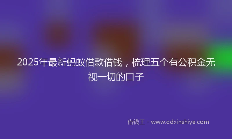2025年最新蚂蚁借款借钱，梳理五个有公积金无视一切的口子