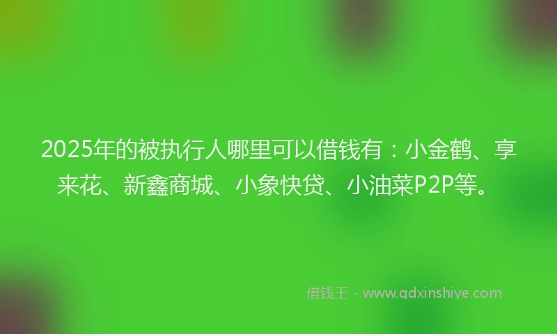 2025年的被执行人哪里可以借钱有：小金鹤、享来花、新鑫商城、小象快贷、小油菜P2P等。