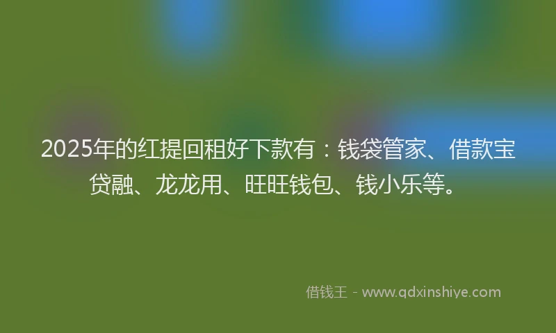 2025年的红提回租好下款有：钱袋管家、借款宝贷融、龙龙用、旺旺钱包、钱小乐等。