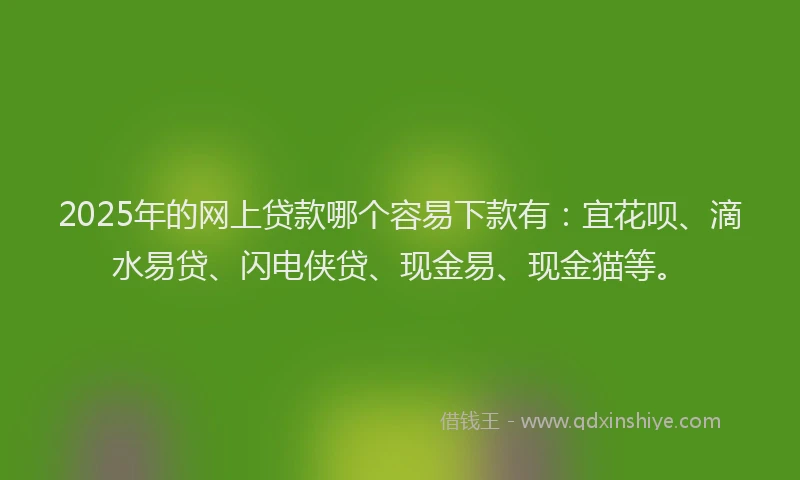 2025年的网上贷款哪个容易下款有：宜花呗、滴水易贷、闪电侠贷、现金易、现金猫等。